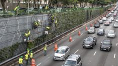 México convierte sus carreteras en bellos jardines verticales para bajar la contaminación del aire
