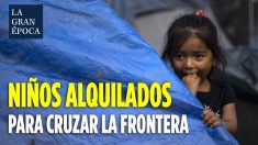 Crisis en la frontera: agentes de la Patrulla Fronteriza dicen que «niños están siendo alquilados» para cruzar
