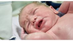Médicos esperan que el bebé pese 5 kg: cuando lo suben a la balanza los padres piensan que está dañada