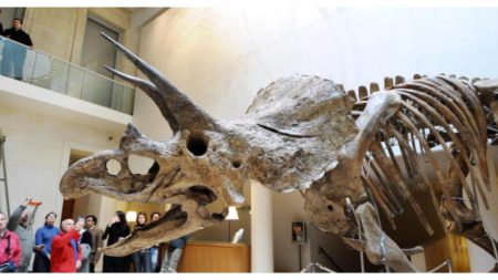 Descubren por primera vez un cáncer de hueso en un dinosaurio