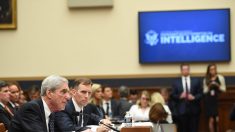 Casa Blanca: Testimonio de Mueller fue una «épica vergüenza para los demócratas»