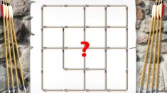 ¿Podrás encontrar en este patrón todos los cuadrados? No todo el mundo puede. ¡Haz el intento!