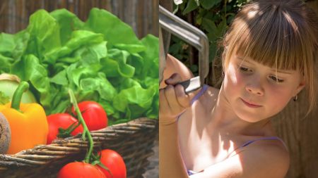 Nena de 9 años preocupada por las personas si hogar cultiva alimentos y construye refugios para ellos