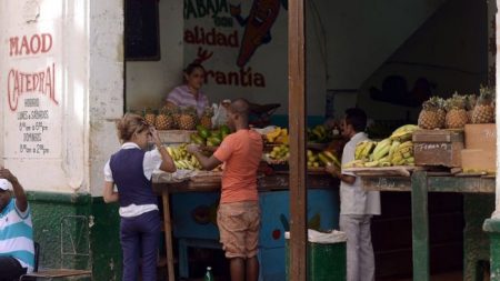 Disidentes cubanos denuncian que el régimen vende carne podrida a diabéticos y mujeres embarazadas