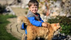 Niño argentino se cura milagrosamente del cáncer y los médicos aún se preguntan cómo sucedió