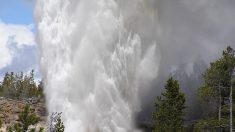 El géiser Steamboat del Parque Yellowstone se acerca a un récord de erupciones