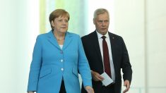 Doctor analiza la posible causa de los temblores de Angela Merkel