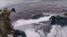 Video de la Guardia Costera muestra dramática captura de un «submarino narco» con 7700 kg de cocaína