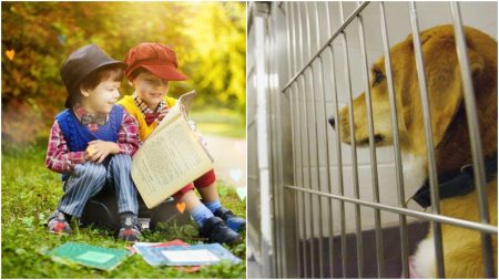 Niños les leen cuentos a perros de refugio para que superen su temores y puedan ser adoptados