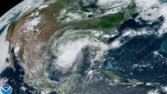 NOAA dice que las condiciones favorables para los huracanes están por «encima de lo normal»