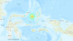 Terremoto en Indonesia de 6,9 grados origina alerta de tsunami en las costas de Molucas