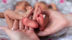 Gemelos recién nacidos se consuelan entre ellos y conmueven a la sala de partos