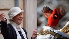 Pidieron a su mamá que envíe un cardenal cuando estuviera en el cielo, sucedió eso y mucho más