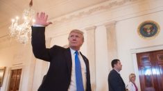 Corte Suprema permite a Trump utilizar fondos del Pentágono para construir el muro