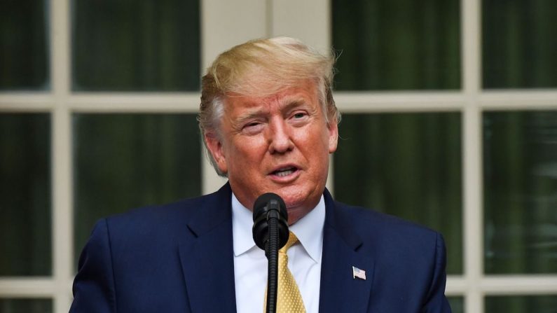 El presidente de los Estados Unidos, Donald Trump, hace comentarios sobre la ciudadanía y el censo en el Rose Garden de la Casa Blanca en Washington, DC, el 11 de julio de 2019. (Nicholas Kamm/AFP/Getty Images)