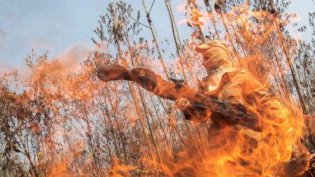 Brigadistas filmavam, publicavam e eram acionados a auxiliar no controle do incêndio que eles mesmos causavam, diz Polícia