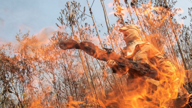 Um bombeiro é visto atrás das chamas durante os incêndios na Floresta Amazônica nesta quarta-feira, perto de Porto Velho. (EFE/ Joédson Alves)