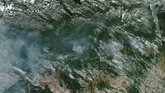 Llega a Perú humo de los incendios en Bolivia y en la Amazonía de Brasil