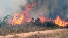 Alertan que Colombia está bajo la amenaza de múltiples incendios forestales