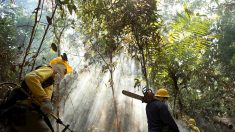 Brasil prohíbe por 60 días el uso de fuego para preparar siembra en la Amazonía