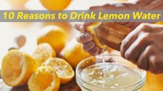 Dez reações incríveis que acontecem quando você bebe água com limão todos os dias