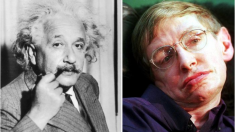Niña de 11 años supera el coeficiente intelectual de Einstein y Hawking. ¡Una nueva genio!