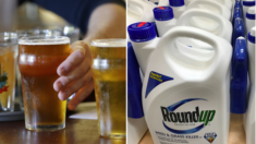 Según investigación 19 de 20 marcas de cerveza y vino poseen el ingrediente activo de los herbicidas