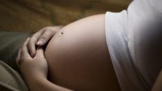 Florida: Veinte años de cárcel para exniñera que quedó embarazada del niño que cuidaba