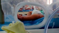 Perú: Una negligencia causa la muerte de un recién nacido que pasó 10 horas en la morgue por error