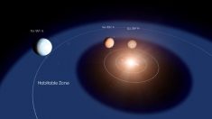 Astrónomos descubren una “súper-Tierra” que podría ser habitable a 31 años luz de distancia