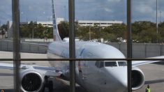 Cubano llega a Miami como polizón entre la carga de un avión