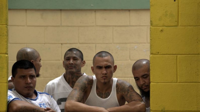 Miembros de la banda MS-13 permanecen en la prisión de Chalatenango, 84 km al norte de San Salvador, el 29 de marzo de 2019. (MARVIN RECINOS/AFP/Getty Images)
