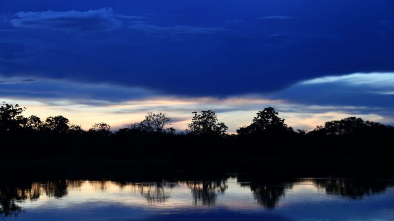Mamiraua- Amazonas  EVARISTO SA/AFP/Getty Images)