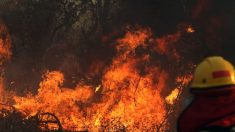 Incendios del Amazonia de Bolivia consumen 1 millón de hectáreas en Santa Cruz y siguen sin control