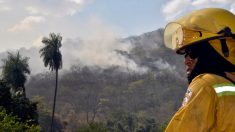 Incendios en el Amazonas golpean campaña electoral de Evo Morales