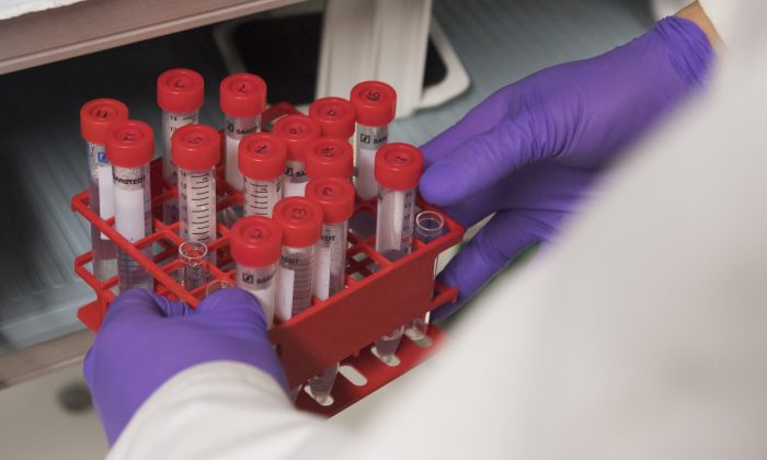 Un biólogo sostiene tubos de ensayo mientras trabaja en un laboratorio del Instituto Nacional del Cáncer en los Institutos Nacionales de Salud en Bethesda, Maryland, el 7 de febrero de 2018. (Saul Loeb/AFP/Getty Images)