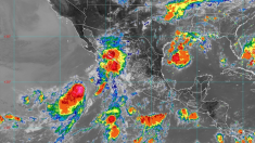 Tormenta tropical Ivo se fortalece: se prevén intensas lluvias y olas de 5 metros en Baja California Sur