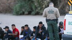 Dos adultos mexicanos se hacen pasar por niños ante inmigración en Arizona