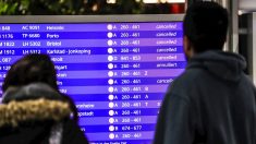 Español se equivoca de puerta en aeropuerto y provoca la cancelación de 130 vuelos en Múnich
