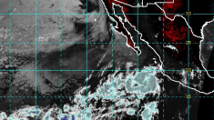 Un nuevo ciclón se está formando en la costa de México