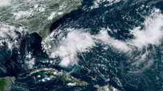 Nuevo ciclón tropical pone en alerta a Florida y el sureste de EEUU, podría formarse en 48 horas