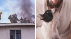 Entró a una casa en llamas para rescatar a su mascota: “Mi perro es todo para mí”