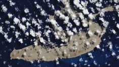 Revelan gigantesca isla flotante de piedra pómez desplazándose por el Pacífico hacia Australia