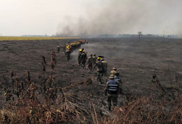 Bombeiros caminham por um campo queimado enquanto combatem um incêndio em Robore, no leste da Bolívia, em 23 de agosto de 2019 (STR / AFP / Getty Images)