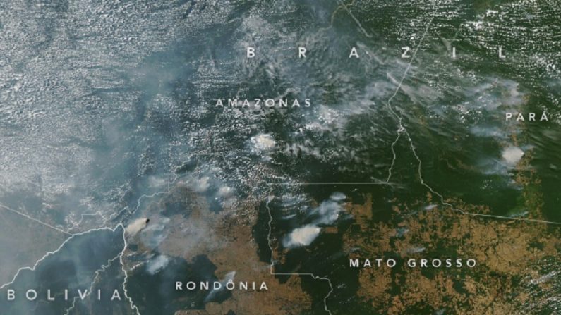 Fotos de satélites divulgadas pela Nasa desmentem a impressão de "Amazônia em chamas" difundida por ONGs - Foto: Nasa.