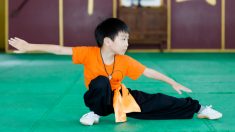 ¿Será este niño la encarnación de Bruce Lee? Sus seguidores lo llaman «Mini Lee»