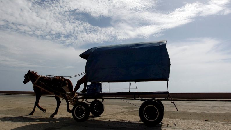 Fotografía de archivo del 13 de junio del 2018 que muestra un caballo llevando una carreta, en Baracoa (Cuba). (EFE/Ernesto Mastrascusa/ARCHIVO)