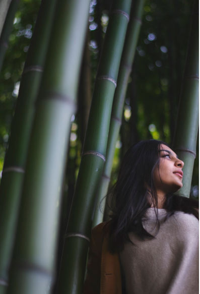 Mujer entre bambú)