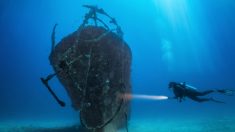 Buzo descubre restos de un misterioso naufragio de hace 140 años