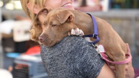 Perrito enfermo que iba a ser sacrificado agradece con un gran abrazo canino a su dueña que lo salvó